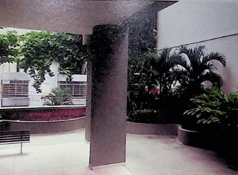 Jardim no play